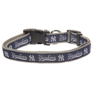 Gear For Yankees Dogs Only » Moiderer's Row : Bronx Baseball