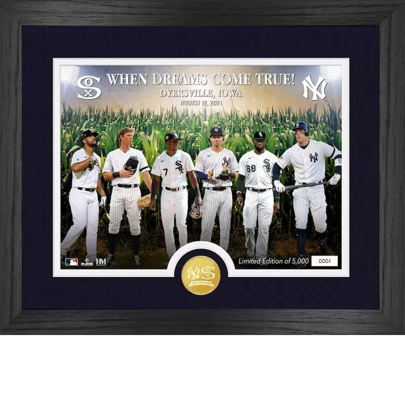 MLB New York Yankees Baseball Logo Glass Framed Panel